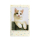 Fujifilm Instax Mini Sprinkles 10 szt. - 1337249 - zdjęcie 3